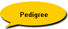 Pedigree